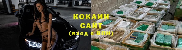 круглые Алзамай