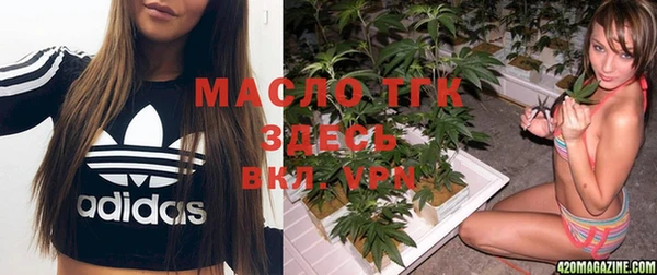 твердый Алексеевка