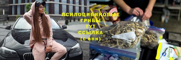 твердый Алексеевка