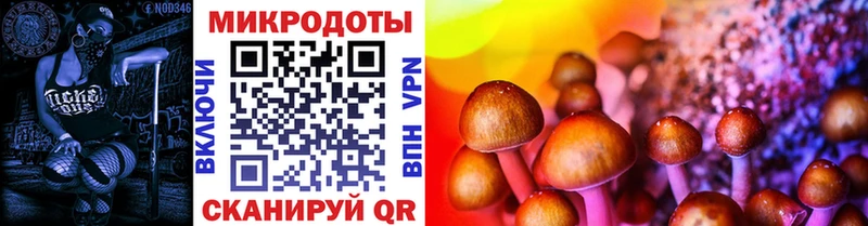 Галлюциногенные грибы мицелий  Удомля 