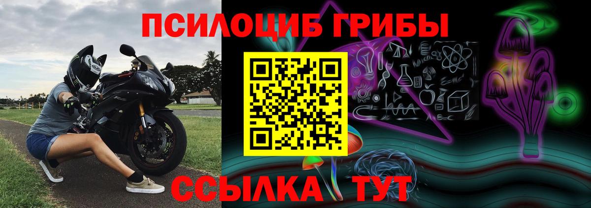 Удомля  Псилоцибиновые грибы ЛСД  Вход с VPN 