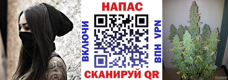 Каннабис VHQ  Удомля 
